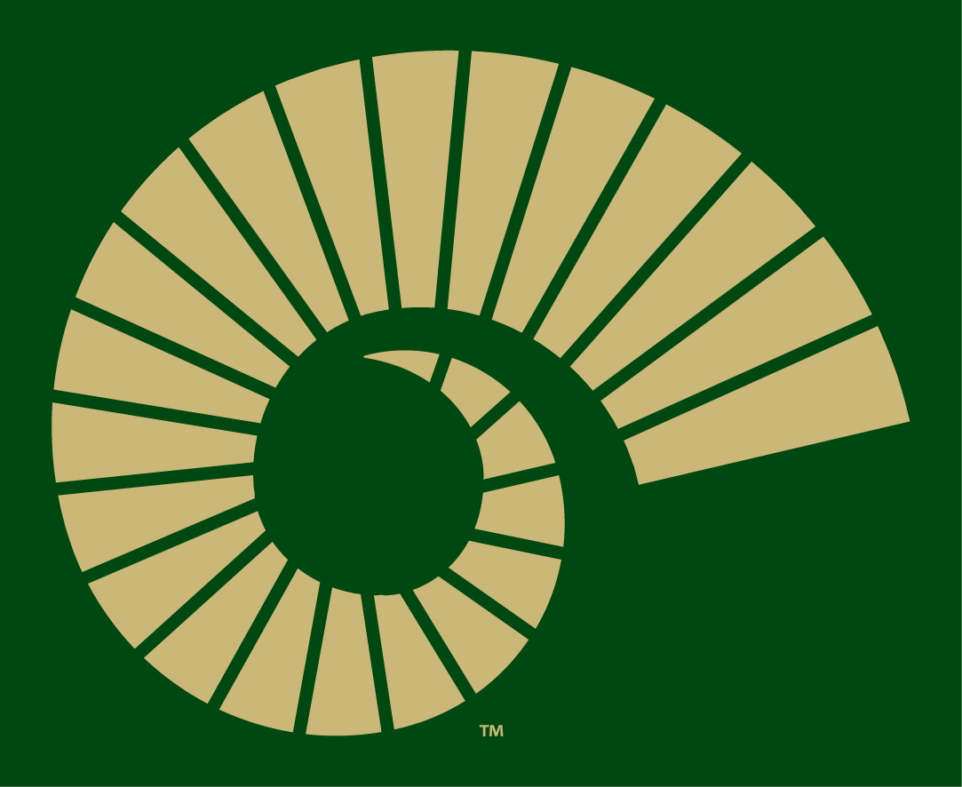 Colorado State Rams 2015-Pres Alternate Logo v4 diy iron on heat transfer